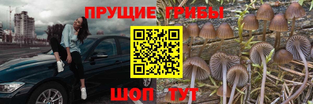 Кандалакша  Псилоцибиновые грибы GOLDEN TEACHER  Вход с VPN  где можно купить   Галлюциногенные грибы Magic Shrooms 
